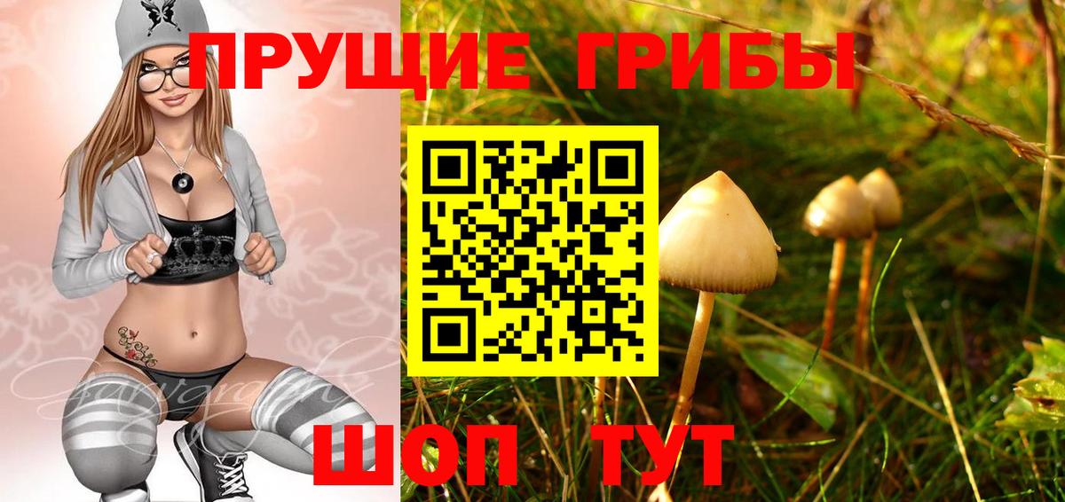 Галлюциногенные грибы Psilocybine cubensis  Вход с VPN  Владикавказ 